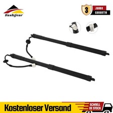 2x ELEKTRISCHE HECKKLAPPEN